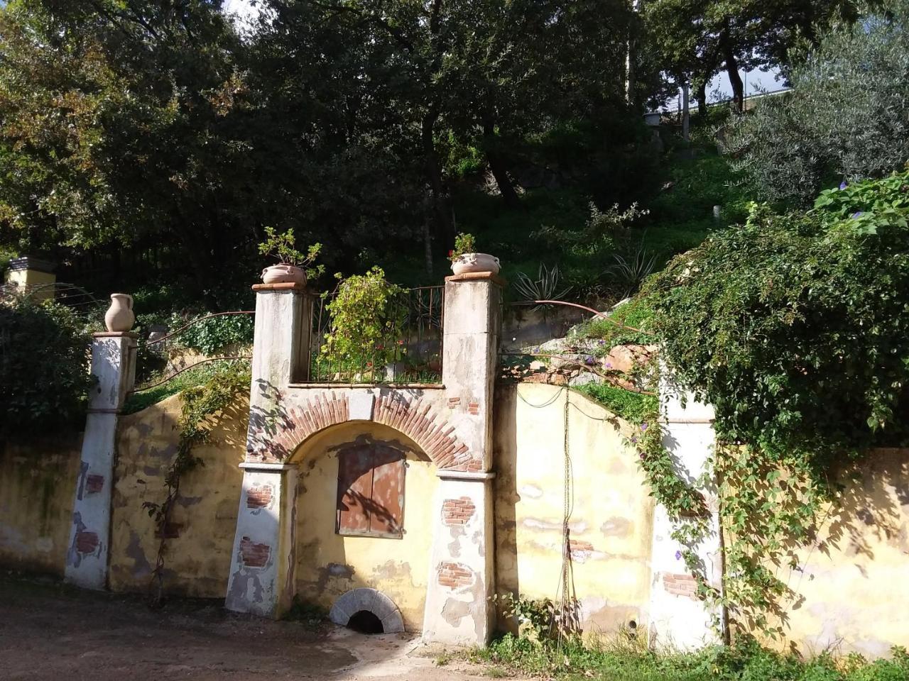 Le Roverelle Ilbono Екстериор снимка
